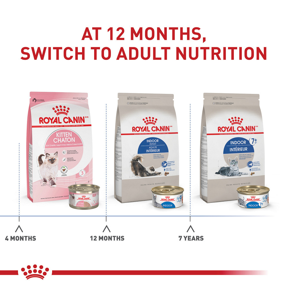about royal canin cat food Royal Canin Feline Health Nutrition Indoor Adult 27 Dry Cat Food