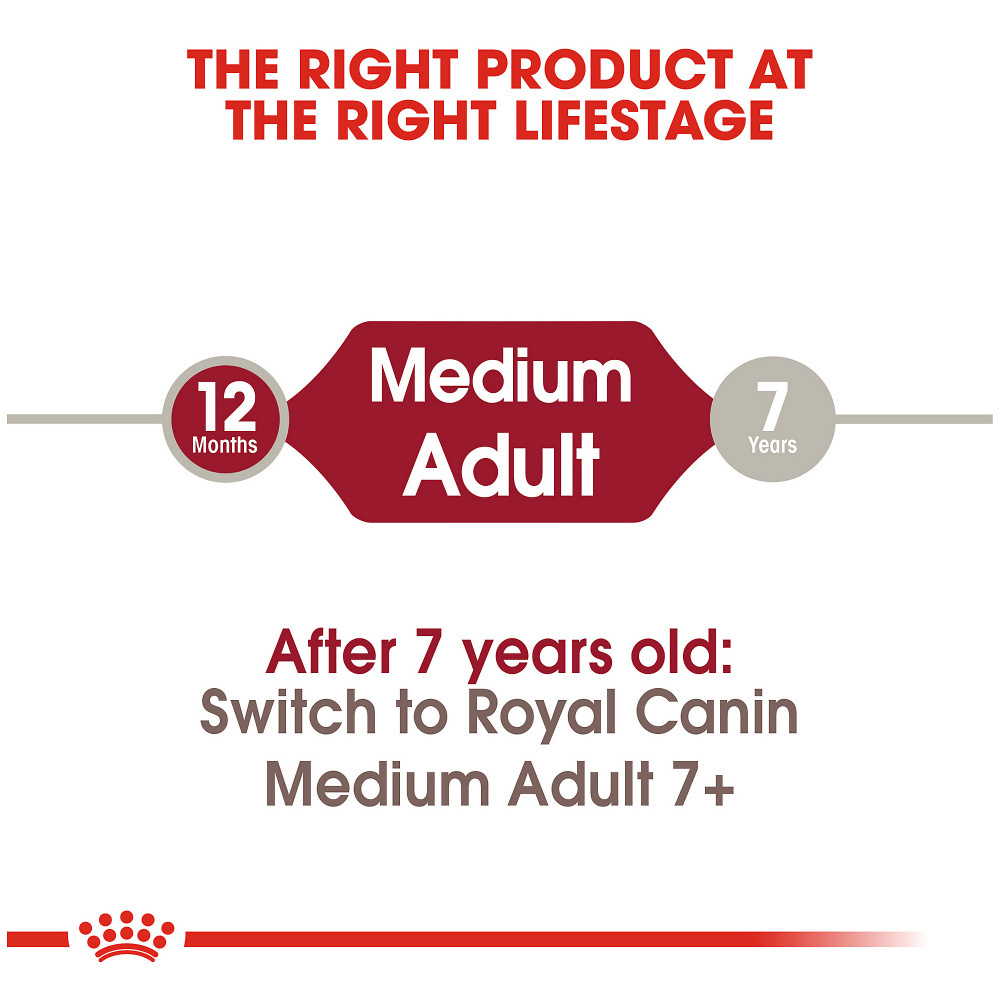 Royal Canin Medium Adult Dog Food 15 Kg – Digestive & Immune Support