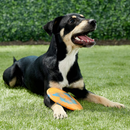 Ruff Dawg Durable Dog Toy Assorted Colors - Dog Toys 11