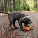 Ruff Dawg Football Ultra Durable Dog Toy Assorted Colors - Dog Toys 6