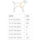 Ruffwear Hi & Light Dog Harness- Sage Green