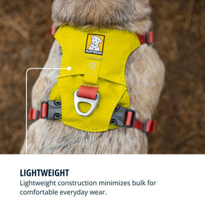 Ruffwear Hi & Light Dog Harness - Pet Collars & Harnesses 2