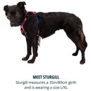 Ruffwear Hi & Light Dog Harness - Pet Collars & Harnesses 9