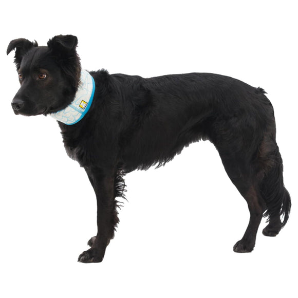 Ruffwear Swamp Cooler Cooling Neck Gaiter (Graphite Gray) For Dog