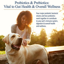 Rx Biotic Powder Digestive Supplement for Cats & Dogs - Dog Supplements & Vitamins 2