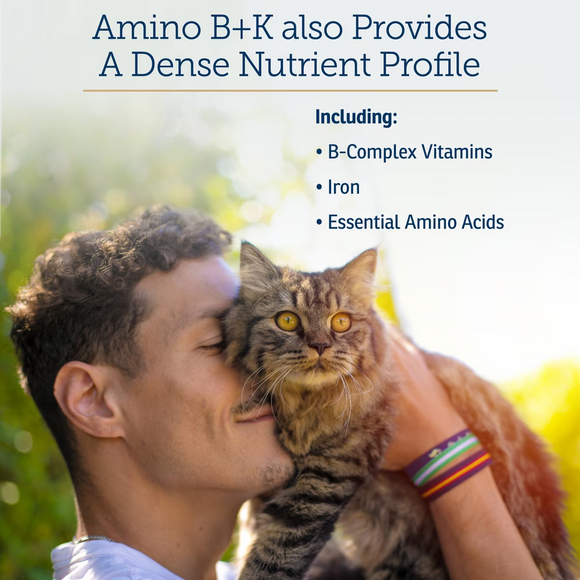 Rx Vitamins Amino B + K Kidney Support for Cats (4 oz) - Cat Supplements & Vitamins 5