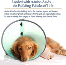 Rx Vitamins Amino B Plex B Vitamin Complex Plus Amino Acids - Dog Supplements & Vitamins 4