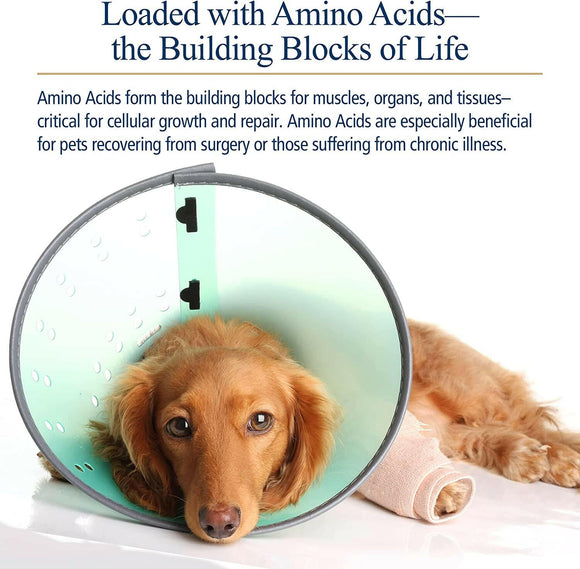 Rx Vitamins Amino B Plex B Vitamin Complex Plus Amino Acids - Dog Supplements & Vitamins 4