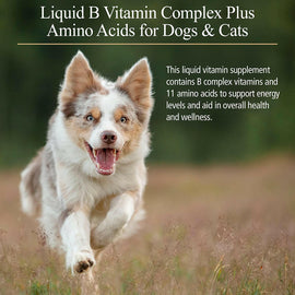 Rx Vitamins Amino B Plex B Vitamin Complex Plus Amino Acids - Dog Supplements & Vitamins 2