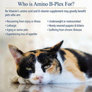 Rx Vitamins Amino B Plex B Vitamin Complex Plus Amino Acids - Dog Supplements & Vitamins 3