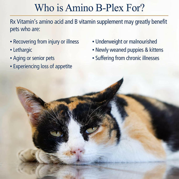 Rx Vitamins Amino B Plex B Vitamin Complex Plus Amino Acids - Dog Supplements & Vitamins 3