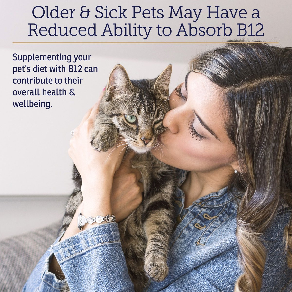 Rx Vitamins Rx B12 Liquid Digestive Supplement for Dogs & Cats