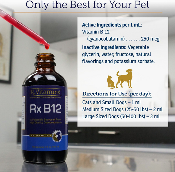 Rx Vitamins Rx B12 Liquid Digestive Supplement For Dogs and Cats (4 oz) - Dog & Cat Supplements & Vitamins 5