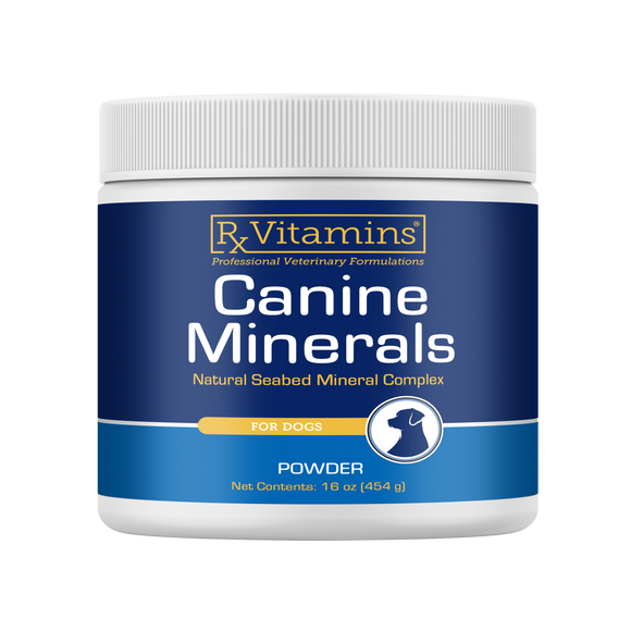 Rx Vitamins Canine Minerals Powder for Dogs (454 g) - 1