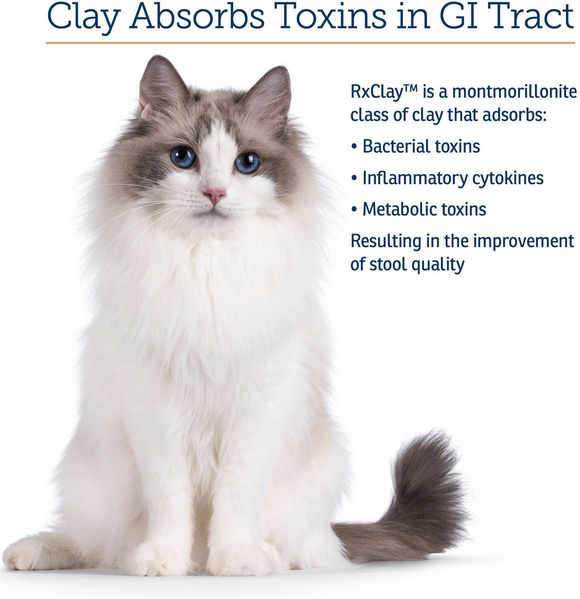 Rx Vitamins Rx Clay Powder Digestive Supplement for Dogs & Cats (100g) - Dog Supplements & Vitamins 3