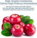 Rx Vitamins Cranberry Rx For Dogs and Cats (90 caps) - Cat and Dog & Probiotics Supplements 2