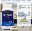 Rx Vitamins Formula CV For Dogs and Cats (90 caps) - Cat Supplements & Vitamins 3