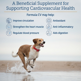 Rx Vitamins Formula CV For Dogs and Cats (90 caps) - Cat Supplements & Vitamins 2