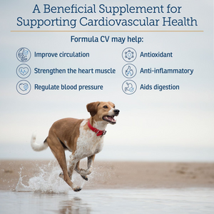 Rx Vitamins Formula CV For Dogs and Cats (90 caps) - Cat Supplements & Vitamins 2