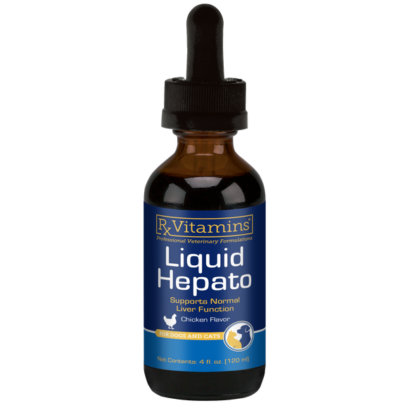 Rx Vitamins Hepato Liquid Liver Supplement for Dogs & Cat -Chicken Flavor (4 oz) - Dog & Cat Supplements & Vitamins 1