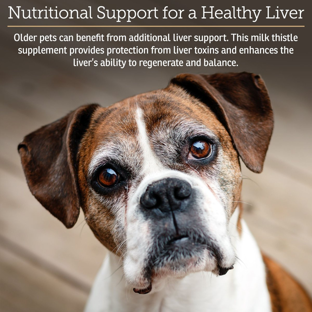 Rx Vitamins Hepato Liver Support Chicken Flavor for Dogs & Cats