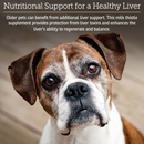 Rx Vitamins Hepato Liquid Liver Supplement for Dogs & Cat -Chicken Flavor (4 oz) - Dog & Cat Supplements & Vitamins 2