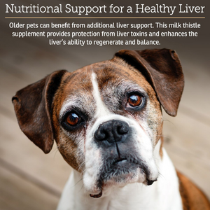 Rx Vitamins Hepato Liquid Liver Supplement for Dogs & Cat -Chicken Flavor (4 oz) - Dog & Cat Supplements & Vitamins 2