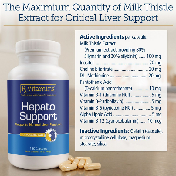 Rx Vitamins Hepato Support Liver Supplement - Dog Supplements & Vitamins 5