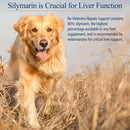 Rx Vitamins Hepato Support Liver Supplement - Dog Supplements & Vitamins 4