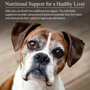 Rx Vitamins Hepato Support Liver Supplement - Dog Supplements & Vitamins 2