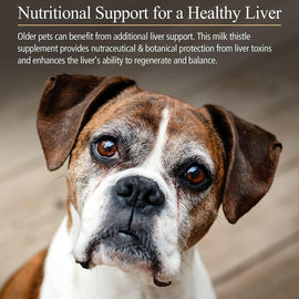 Rx Vitamins Hepato Support Liver Supplement - Dog Supplements & Vitamins 2