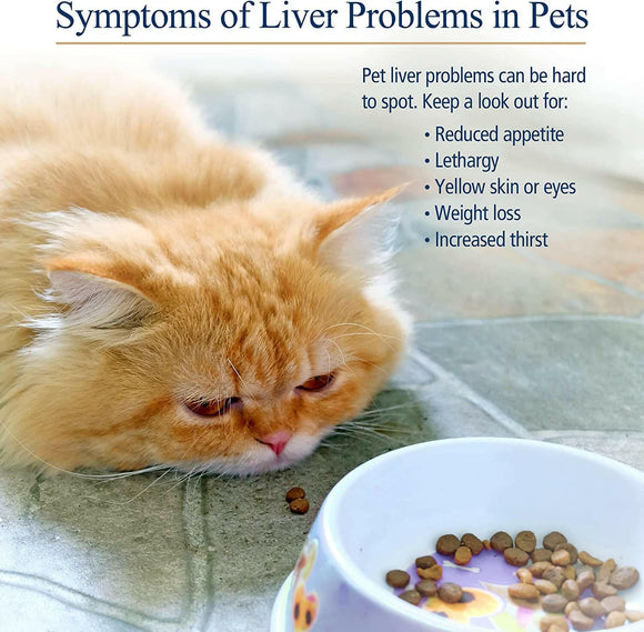 Rx Vitamins Hepato Support Liver Supplement - Dog Supplements & Vitamins 3