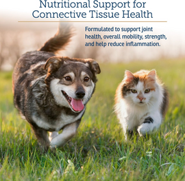 Rx Vitamins NutriFlex Joint Supplement for Dogs & Cats (90 chewtabs) - Dog & Cat Supplements & Vitamins 2