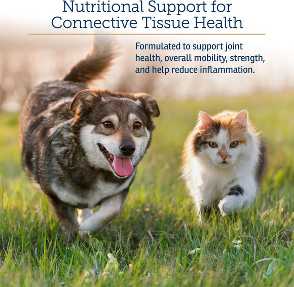 Rx Vitamins NutriFlex Joint Supplement for Dogs & Cats (90 chewtabs) - Dog & Cat Supplements & Vitamins 2