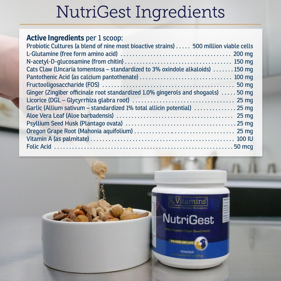 Rx Vitamins Nutrigest Powder Bowel Health Supplement For Dogs & Cats (132 g) - Dog & Cat Supplements & Vitamins 5