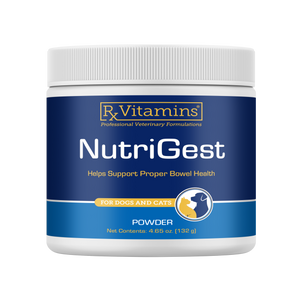 Rx Vitamins Nutrigest Powder Bowel Health Supplement For Dogs & Cats (132 g) - Dog & Cat Supplements & Vitamins 1