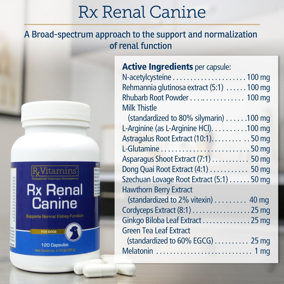 Rx Vitamins Rx Renal Canine Kidney Support For Dogs (120 capsules) - Dog Kidney & Bladder Supplements 5