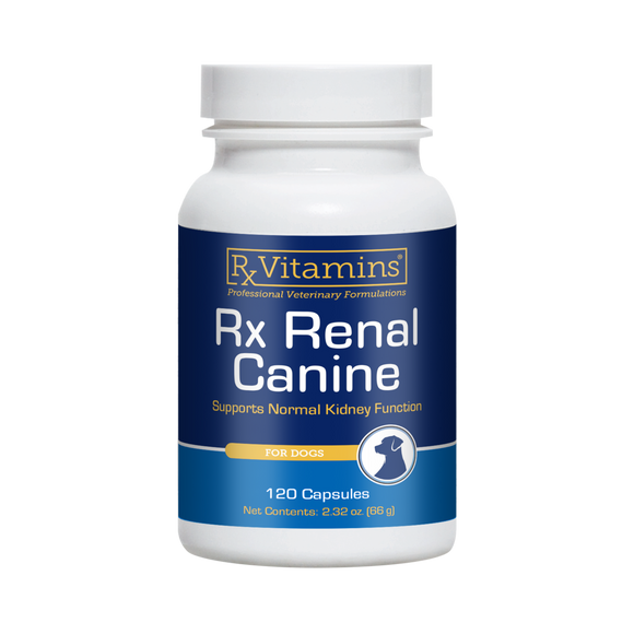 Rx Vitamins Rx Renal Canine Kidney Support For Dogs (120 capsules) - Dog Kidney & Bladder Supplements 1