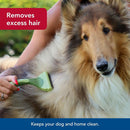 Dog being groomed with a brush, text indicating grooming benefits.