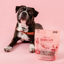 Polkadog Salmon Says Crunchy Training Bits Treats for Dogs & Cats - Training Dog Treats 11