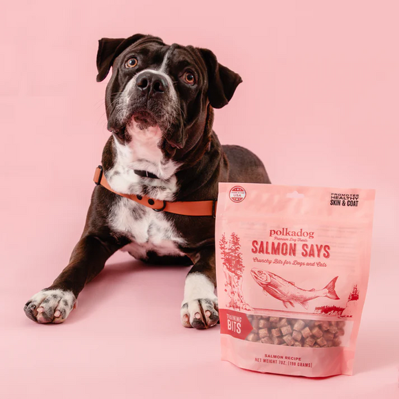 Polkadog Salmon Says Crunchy Training Bits Treats for Dogs & Cats - Training Dog Treats 11