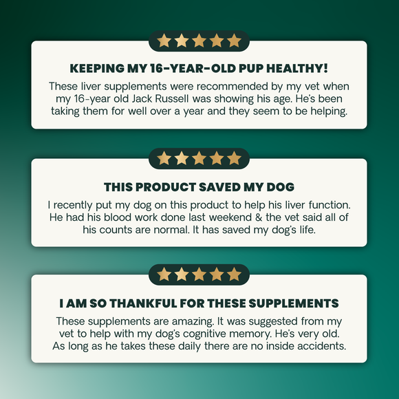 SAMe Liver Health 90 mg Tablet for Cats and Dogs - Dog Supplements & Vitamins 7