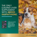 SAMe Liver Health 90 mg Tablet for Cats and Dogs - Dog Supplements & Vitamins 3