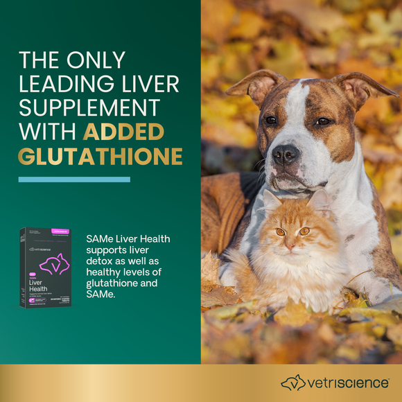 SAMe Liver Health 90 mg Tablet for Cats and Dogs - Dog Supplements & Vitamins 3