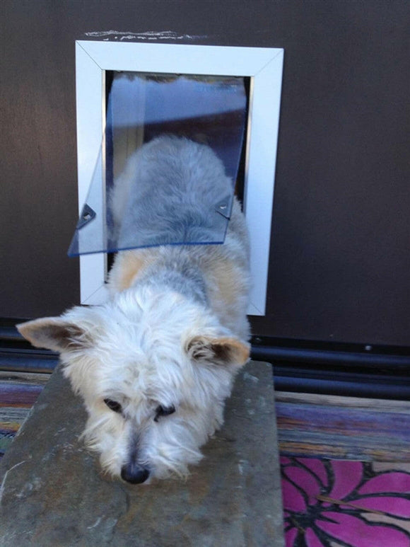 SB Standard Wall Mount Pet Dog Door - Dog Gates Doors & Pens 8