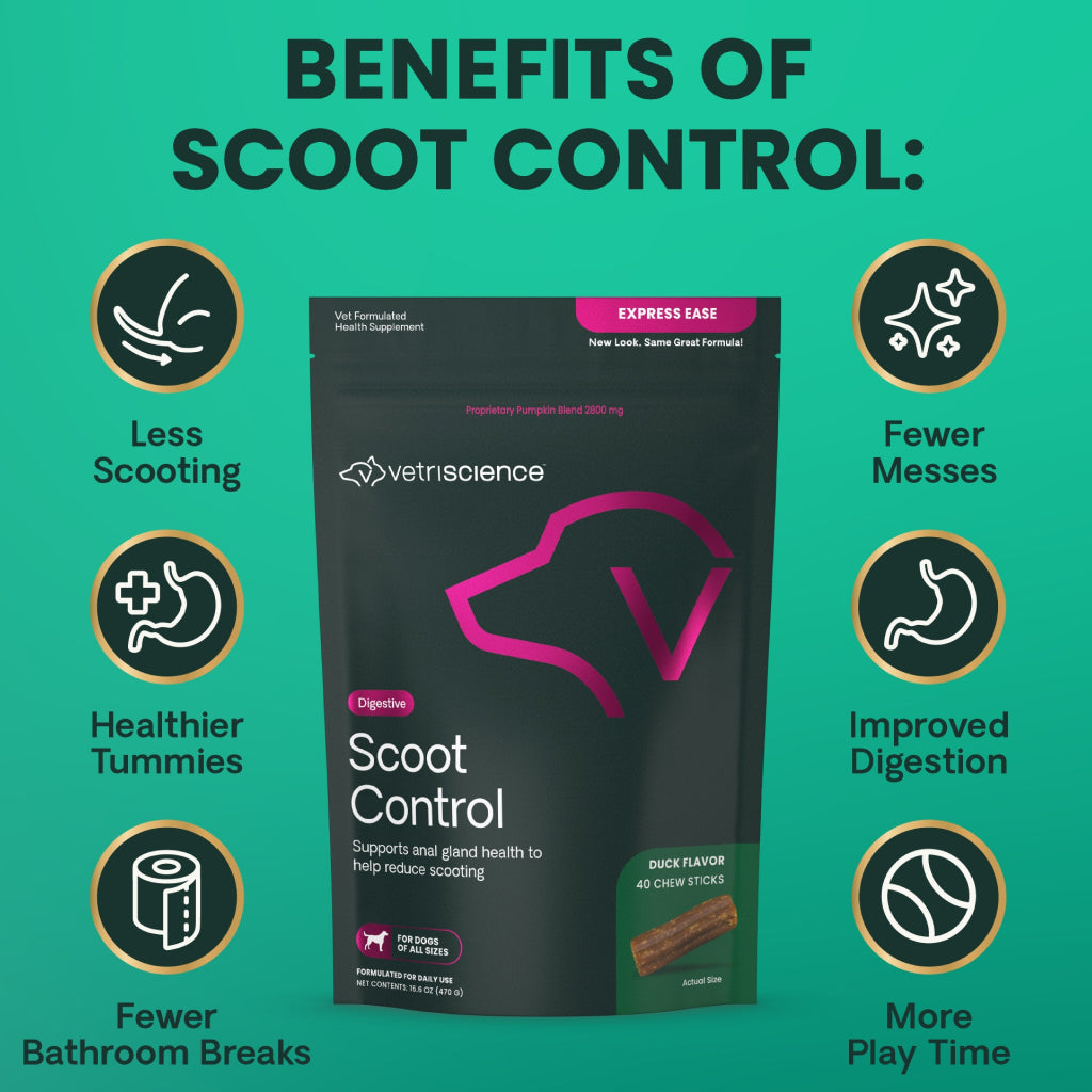 VetriScience Digestive Scoot Control Sticks for Dogs