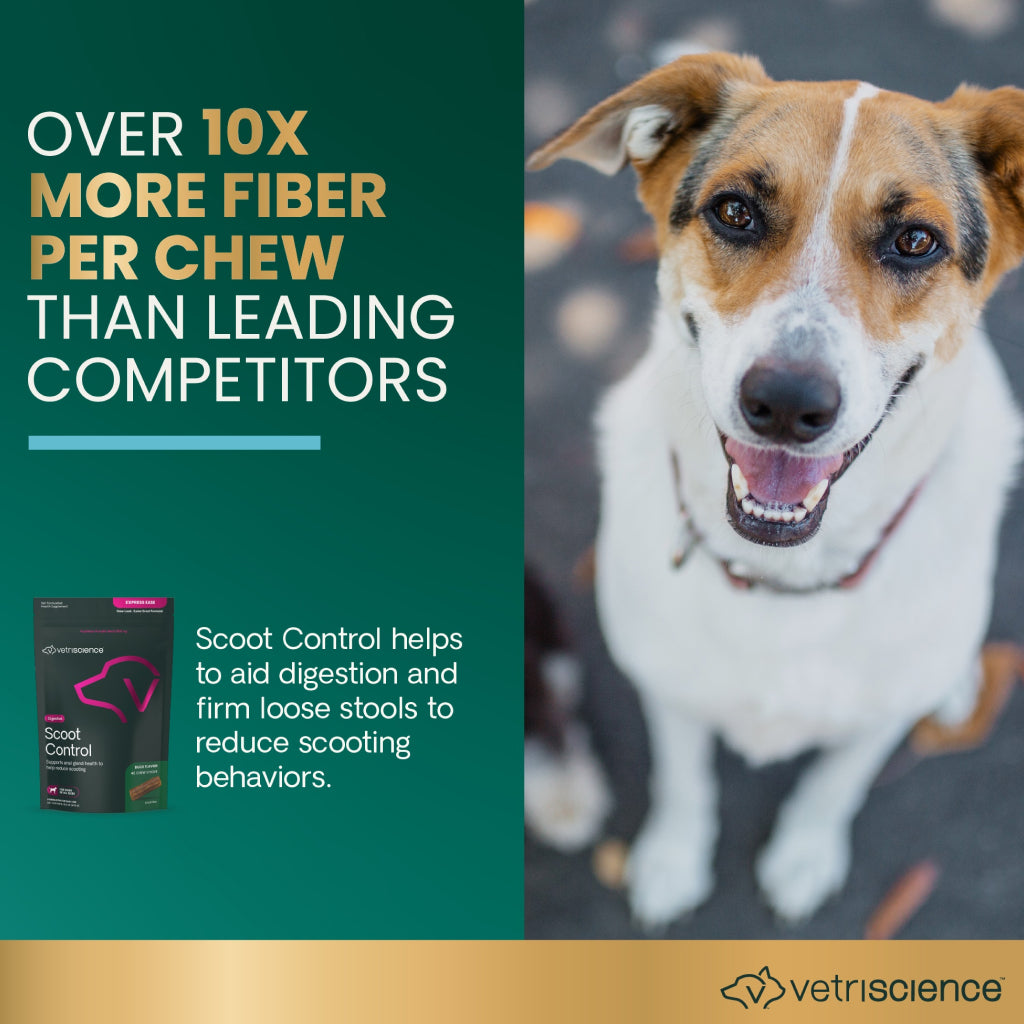VetriScience Digestive Scoot Control Sticks for Dogs