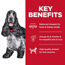 Key benefits