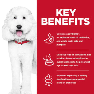 Key Benefits