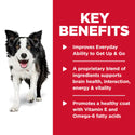 key benefits